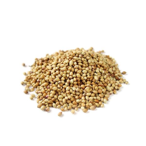Coriander seeds